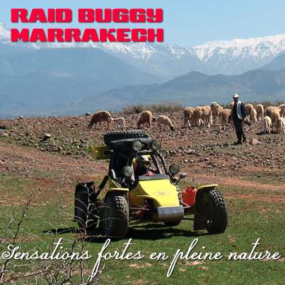 Raid-buggy